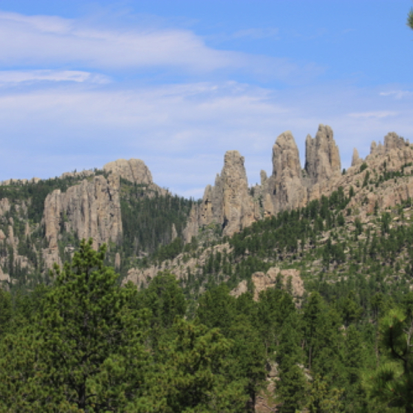 Needles Highway