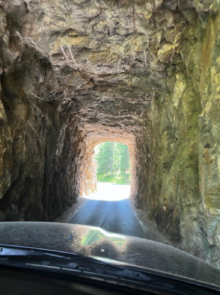 Needles Highway