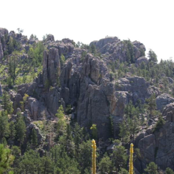 Needles Highway