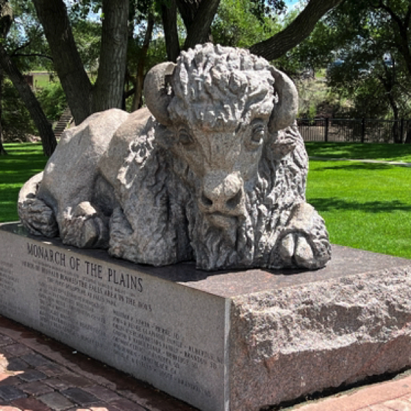 Buffalo statue at Falls Park