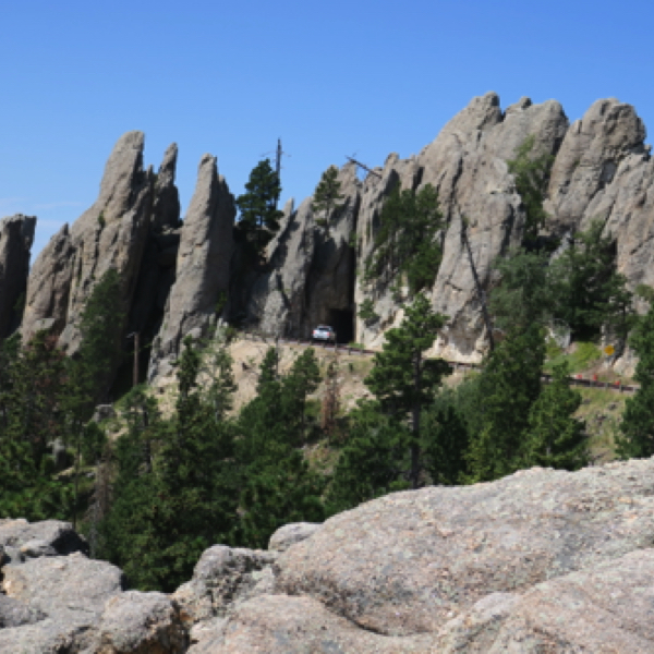 Needles Highway