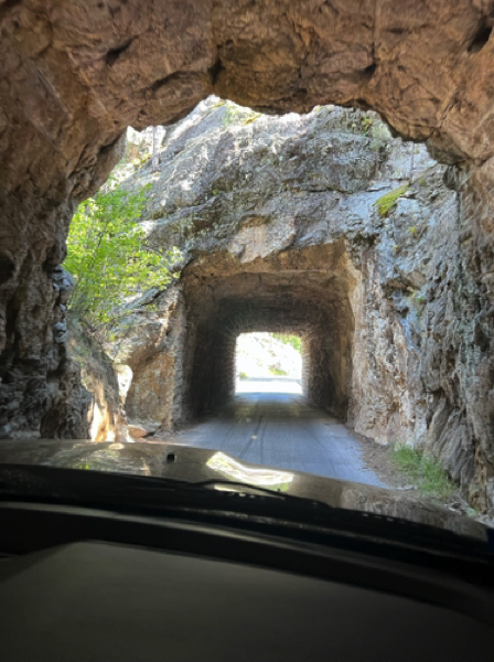 Tunnel on Iron Mountain Road