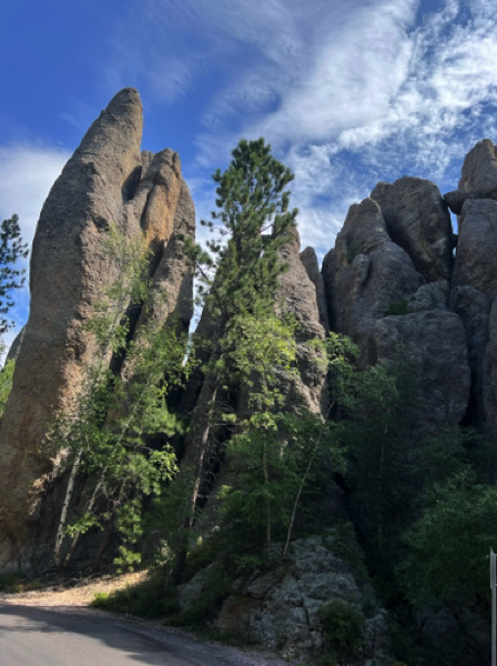 Needles Highway