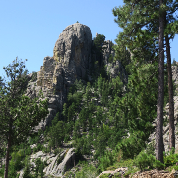 Needles Highway