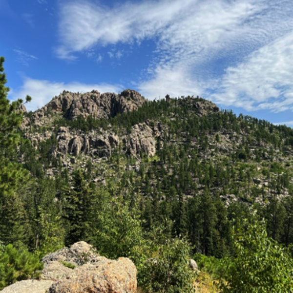 Needles Highway