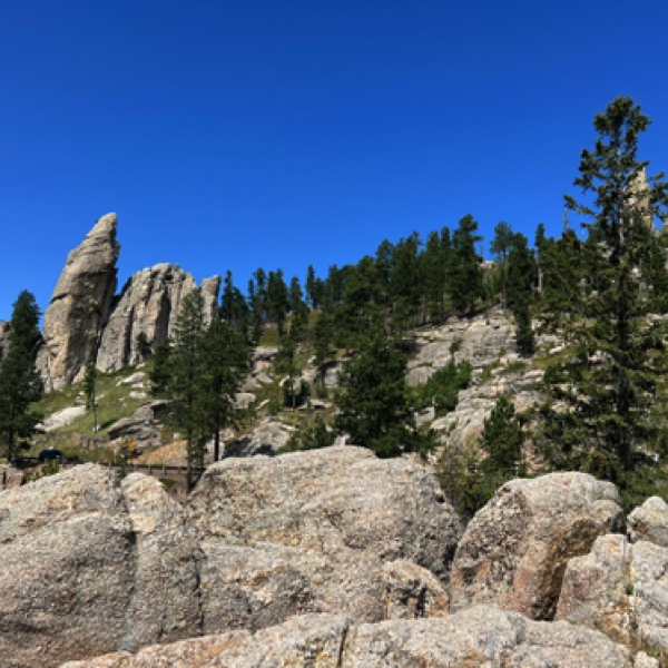 Needles Highway