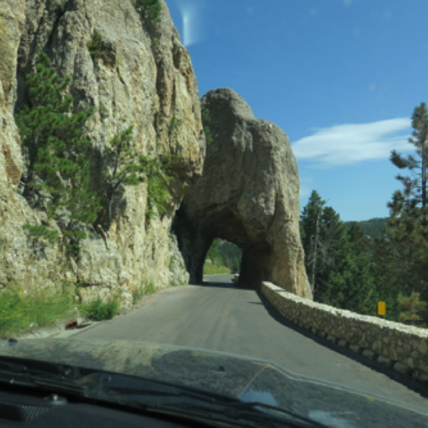 Needles Highway