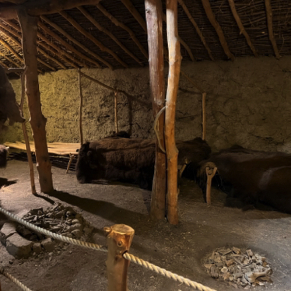 Mitchell Prehistoric Indian Village - Mandan house