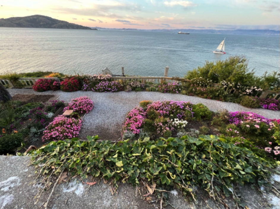 Flower garden on Alcatraz