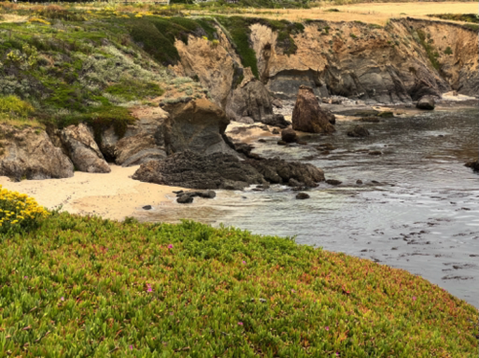 ⁨Pigeon Point Light Station State Historic Park⁩