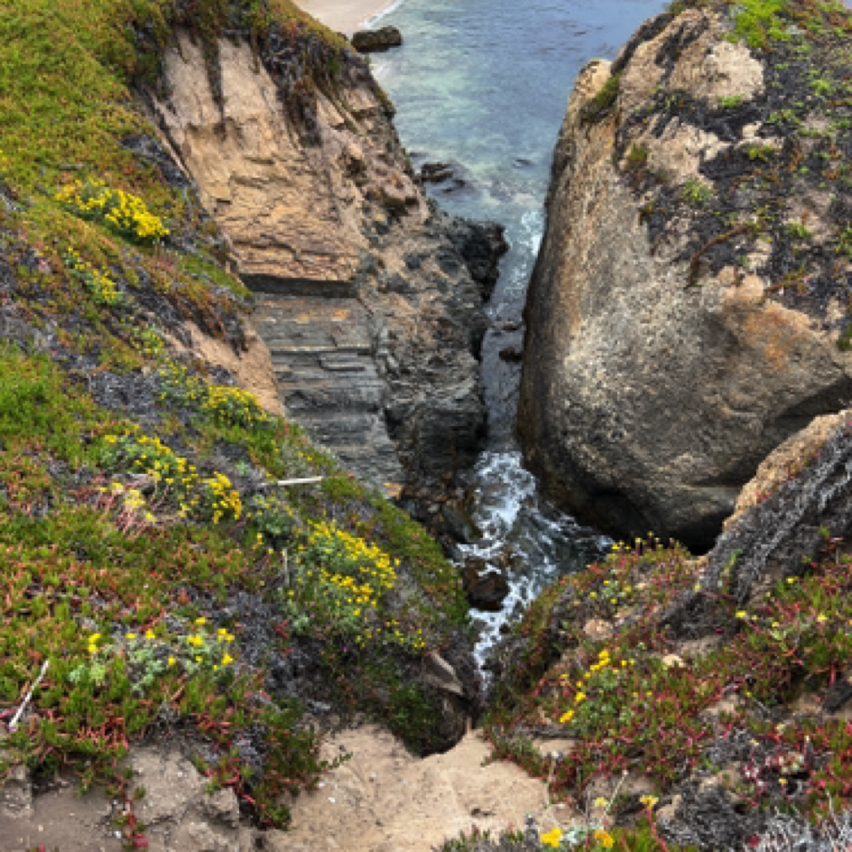 ⁨Pigeon Point Light Station State Historic Park⁩