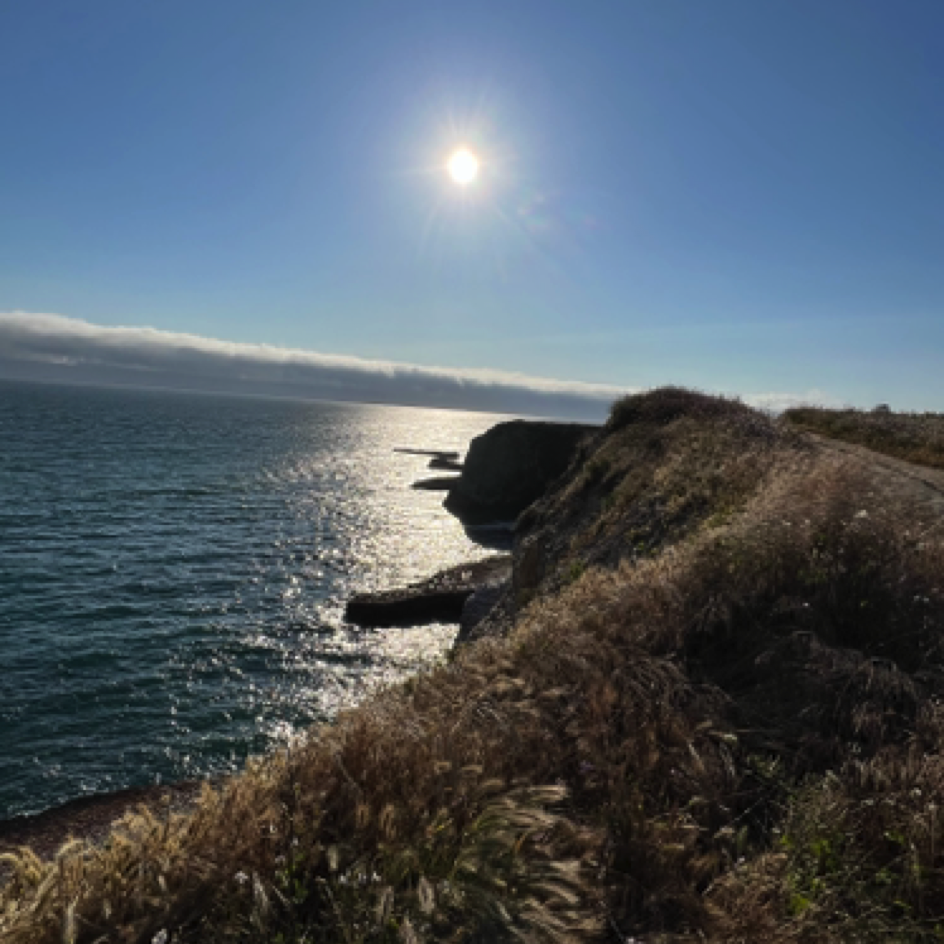 Shark Fin Cove