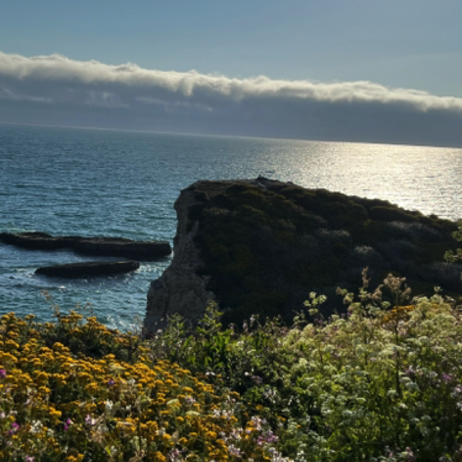 Shark Fin Cove