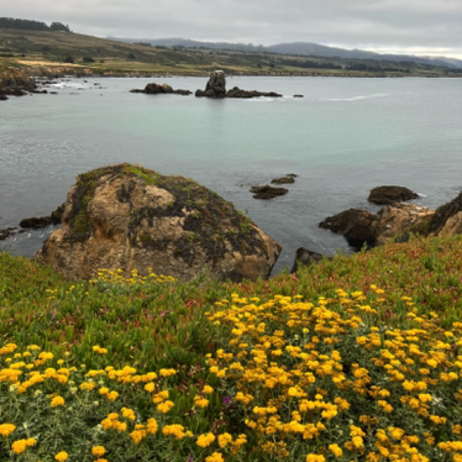 ⁨Pigeon Point Light Station State Historic Park⁩