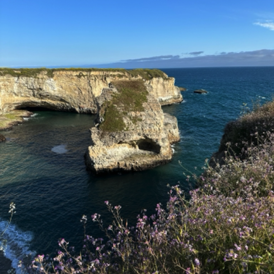 Shark Fin Cove