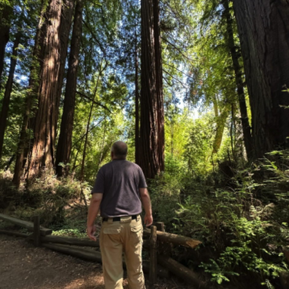 ⁨Henry Cowell Redwoods State Park