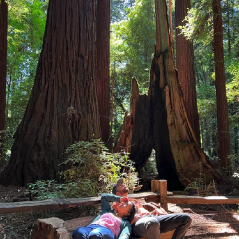 Marisol & Chris admiring the Redwoods at Henry Cowell Redwoods State Park