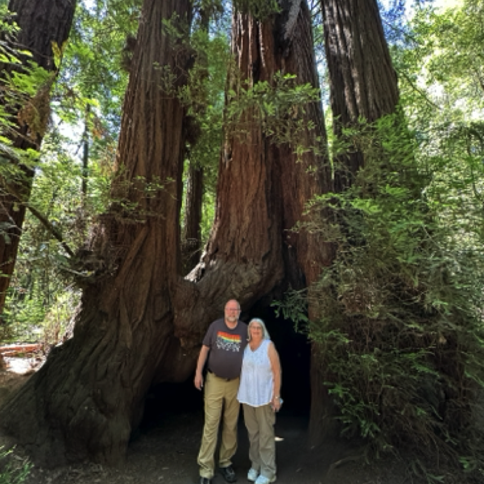 Brian & Donna at ⁨Henry Cowell Redwoods State Park