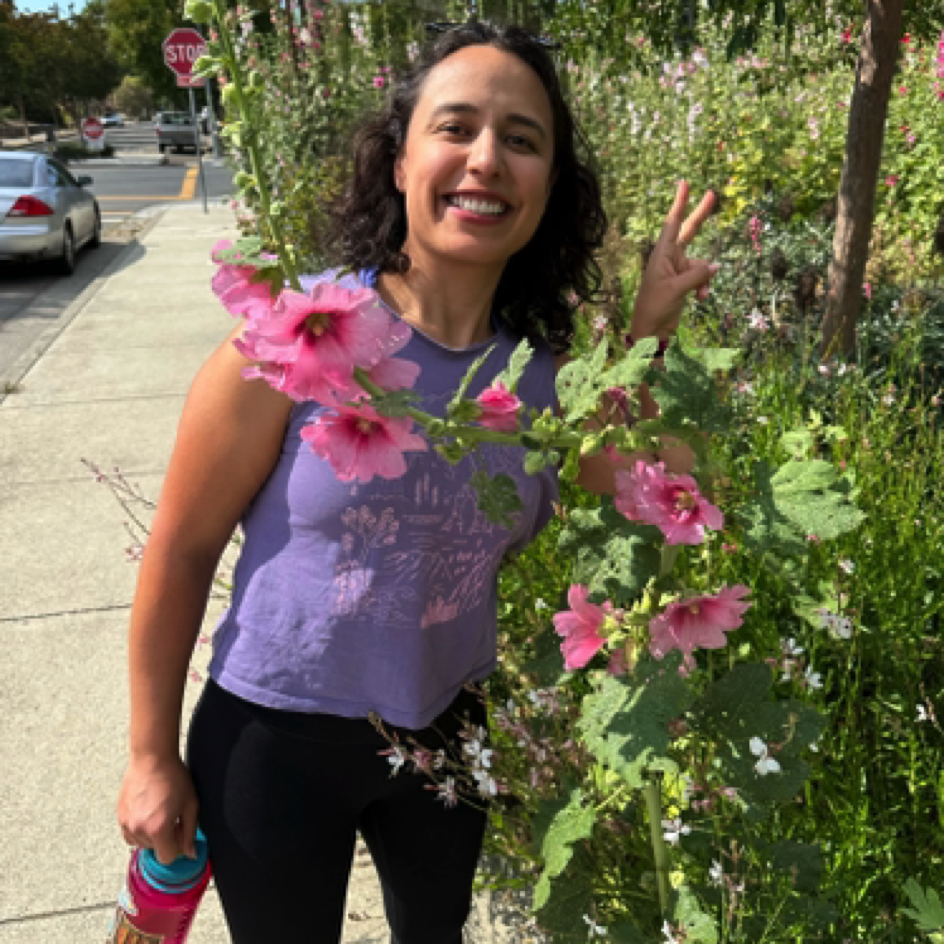 Hollyhocks in Williams Street Park - San Jose