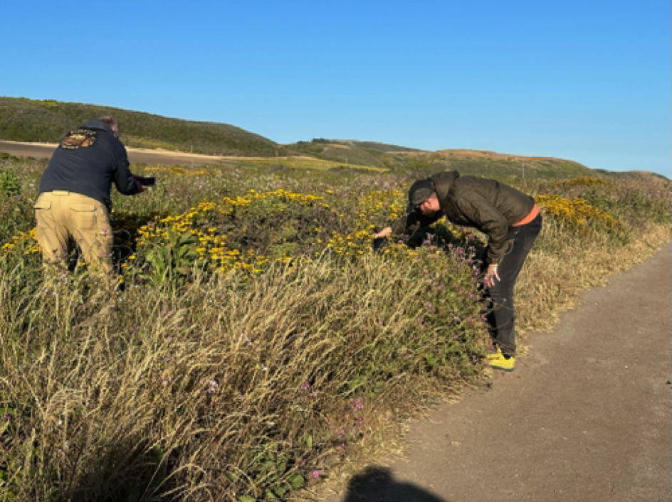 Brian & Chris photographing 'huge' snails on the plants