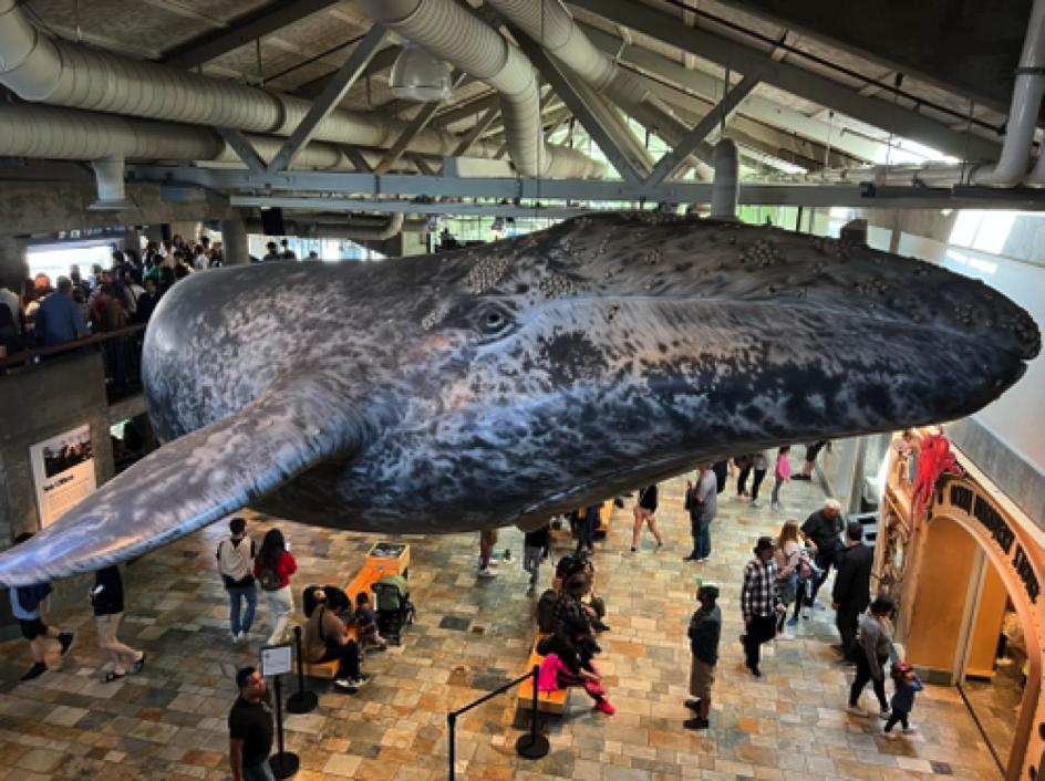 Monterey Bay Aquarium