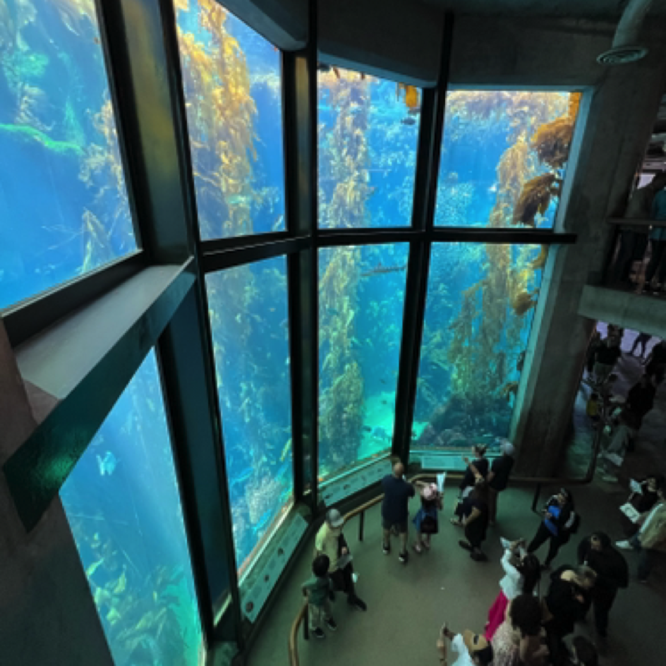 Monterey Bay Aquarium