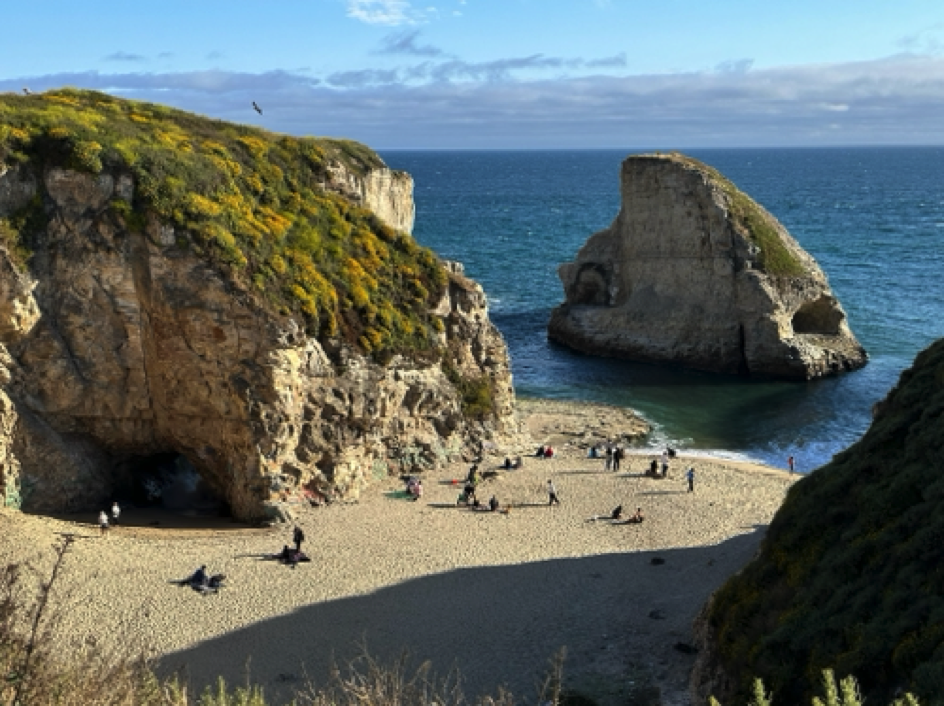 Shark Fin Cove