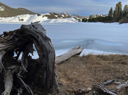 Butte Lake (east of Lassen)