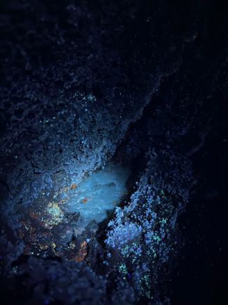 UV light on Pool of water Golden Dome
Lava Beds National Monument