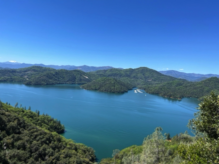 View of Lake Shasta