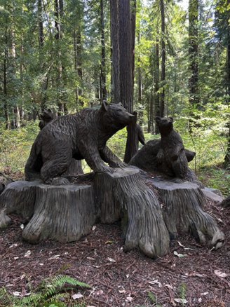 Carved stump at Chandelier Tree
Avenue of the Giants, California