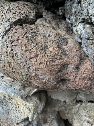 Hardened lava
Lava Beds National Monument