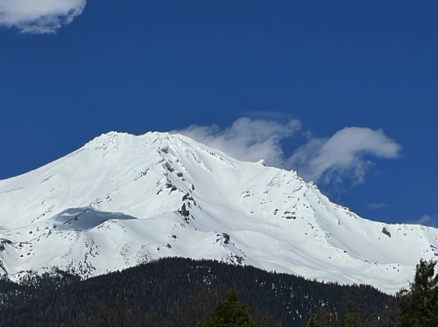 Mount Shasta