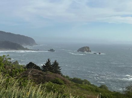 Northern California coast