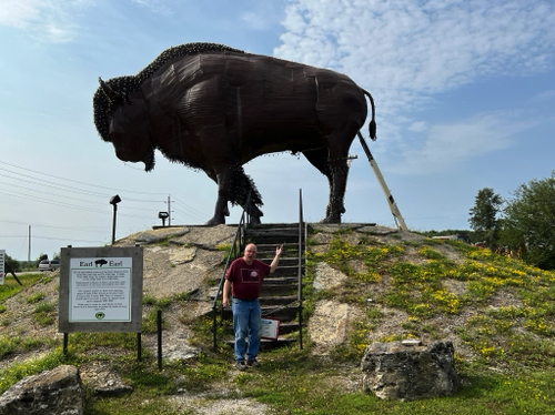 Earl the Bison