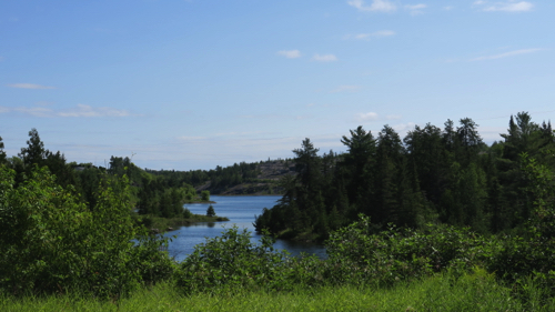 The area around Cobalt Lake