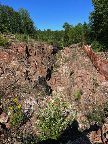 Diamond Willow Mine Vein