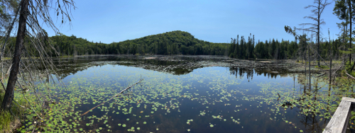 Rustle Lake