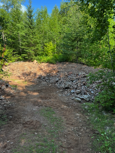 Diamond Willow Mine
Tailings Piles