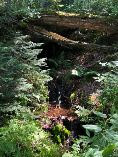 Stream leading into
Rustle Lake