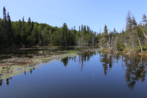 Rustle Lake