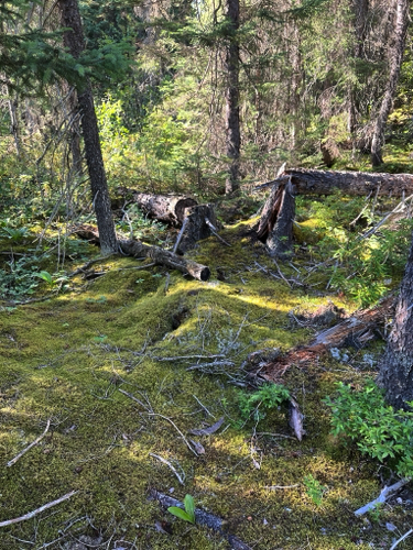 Trail to the Potholes