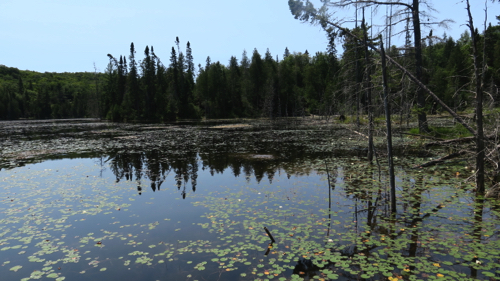 Rustle Lake